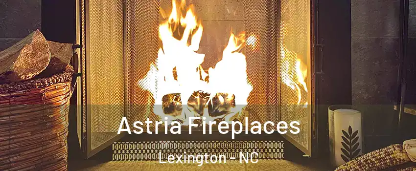  Astria Fireplaces Lexington - NC