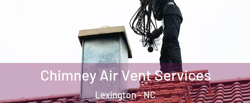  Chimney Air Vent Services Lexington - NC
