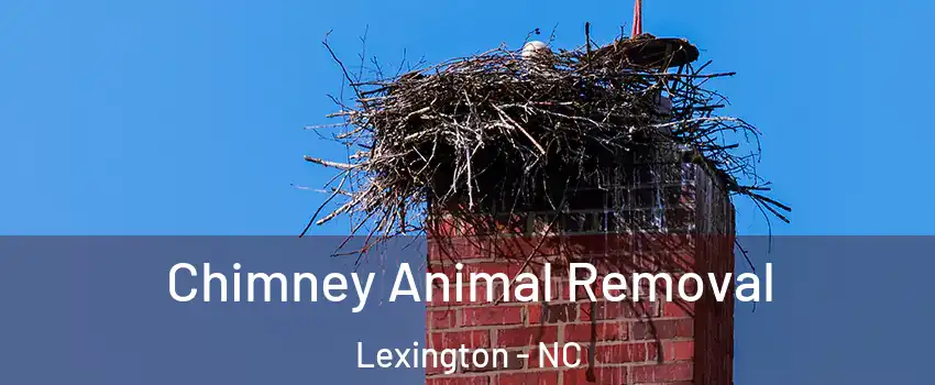  Chimney Animal Removal Lexington - NC