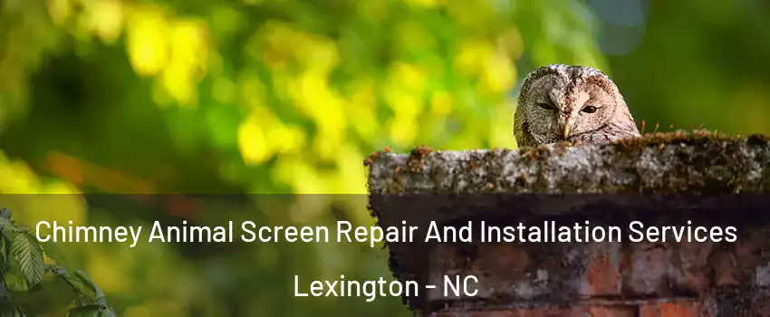  Chimney Animal Screen Repair And Installation Services Lexington - NC