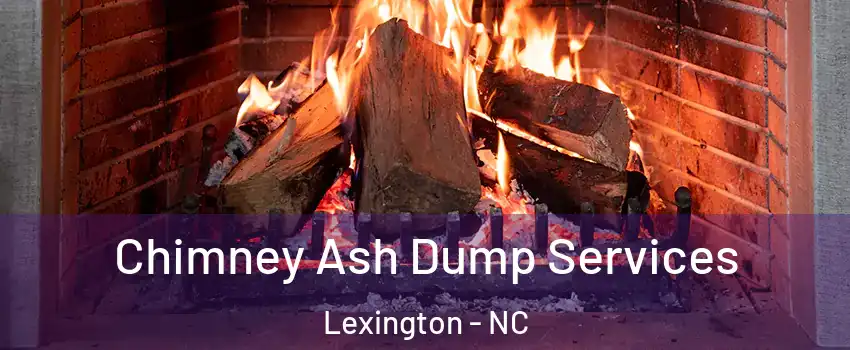  Chimney Ash Dump Services Lexington - NC