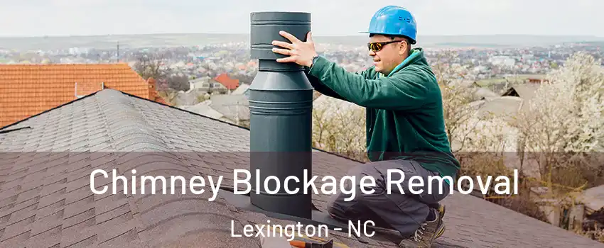  Chimney Blockage Removal Lexington - NC