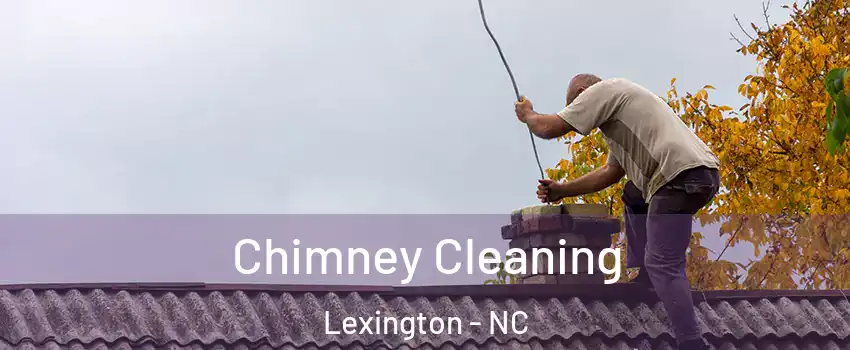  Chimney Cleaning Lexington - NC