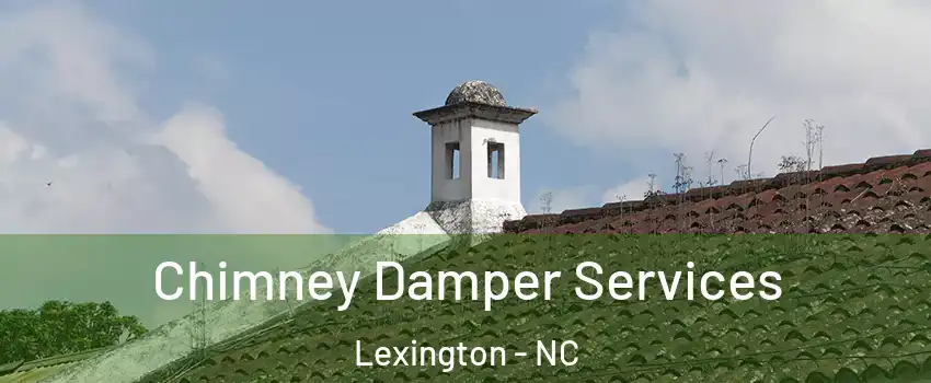  Chimney Damper Services Lexington - NC