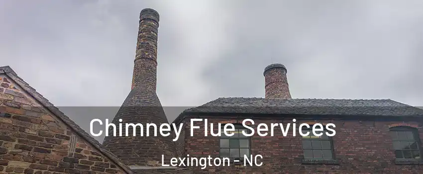  Chimney Flue Services Lexington - NC