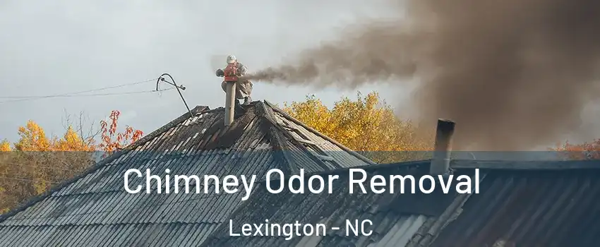  Chimney Odor Removal Lexington - NC