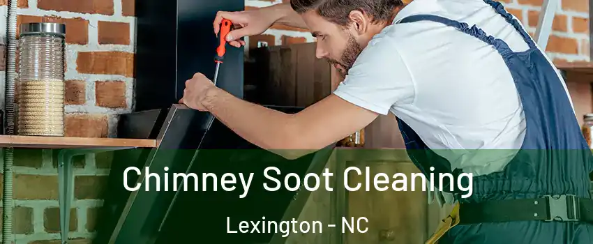  Chimney Soot Cleaning Lexington - NC
