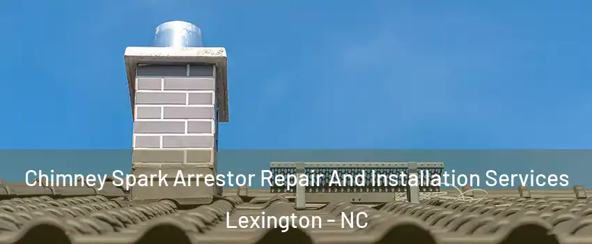  Chimney Spark Arrestor Repair And Installation Services Lexington - NC