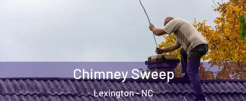  Chimney Sweep Lexington - NC