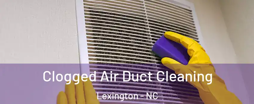  Clogged Air Duct Cleaning Lexington - NC