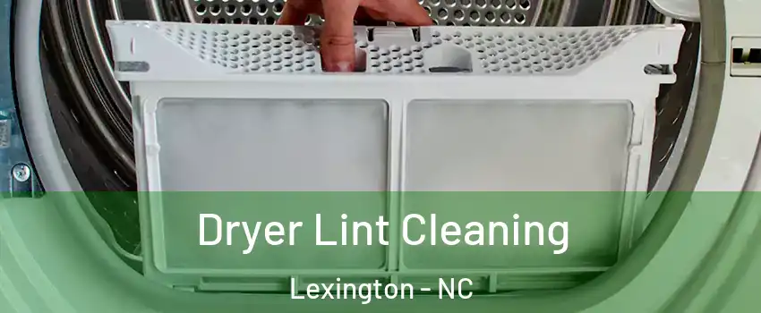  Dryer Lint Cleaning Lexington - NC