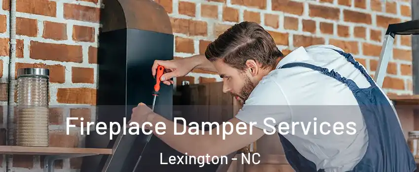  Fireplace Damper Services Lexington - NC
