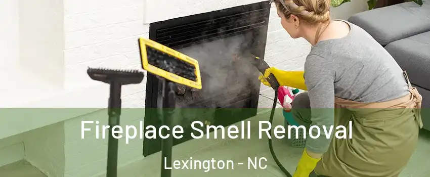  Fireplace Smell Removal Lexington - NC