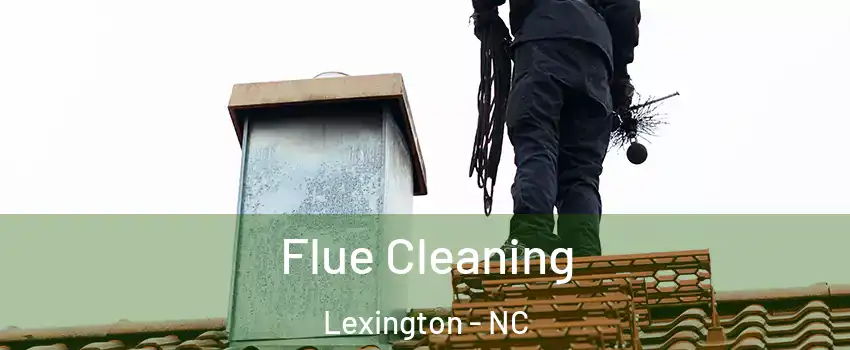  Flue Cleaning Lexington - NC
