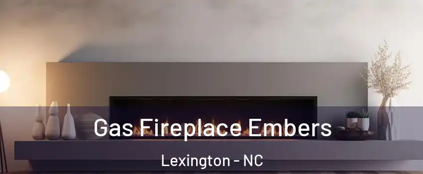  Gas Fireplace Embers Lexington - NC