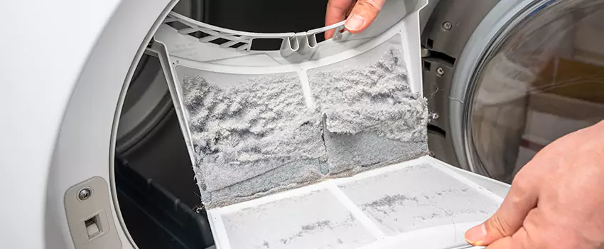 Best Dryer Lint Removal Company in Lexington, North Carolina
