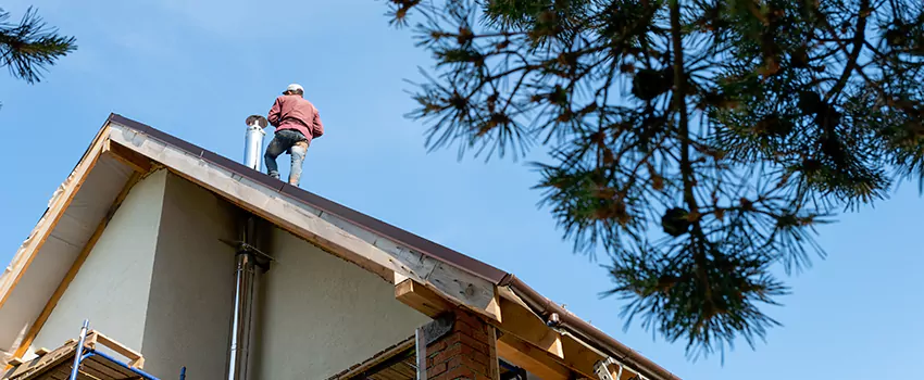 Birds Removal Contractors from Chimney in Lexington, NC
