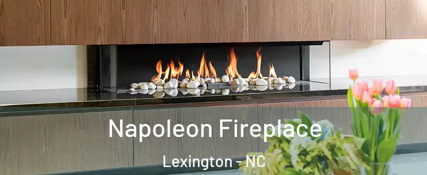  Napoleon Fireplace Lexington - NC
