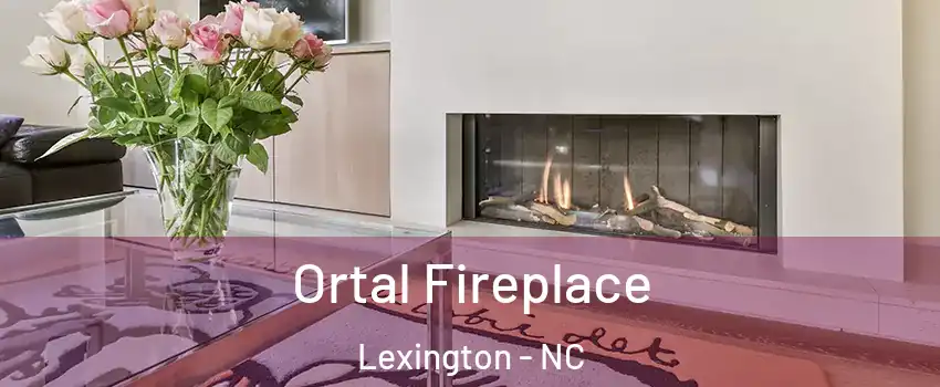  Ortal Fireplace Lexington - NC